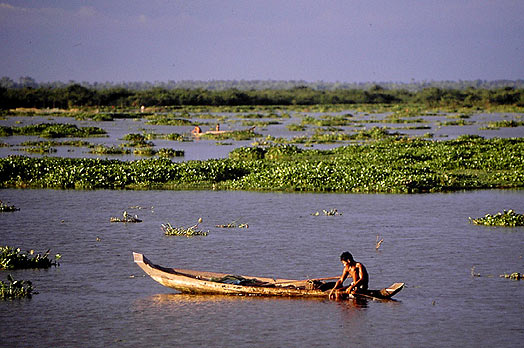 Fisherman Checking nets in Cambodia