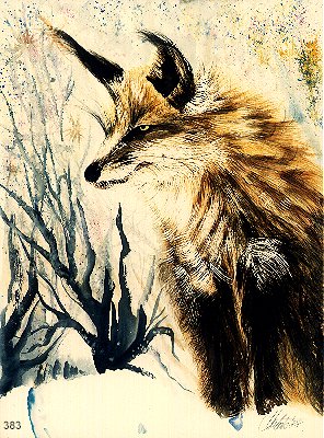 Hunter
