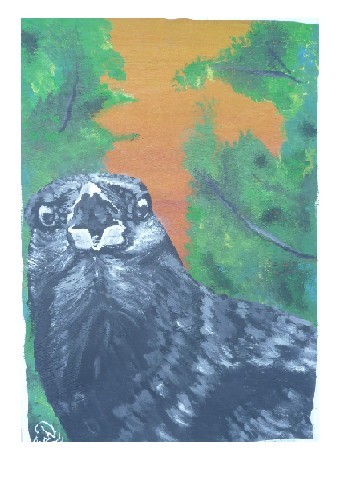 crow 2