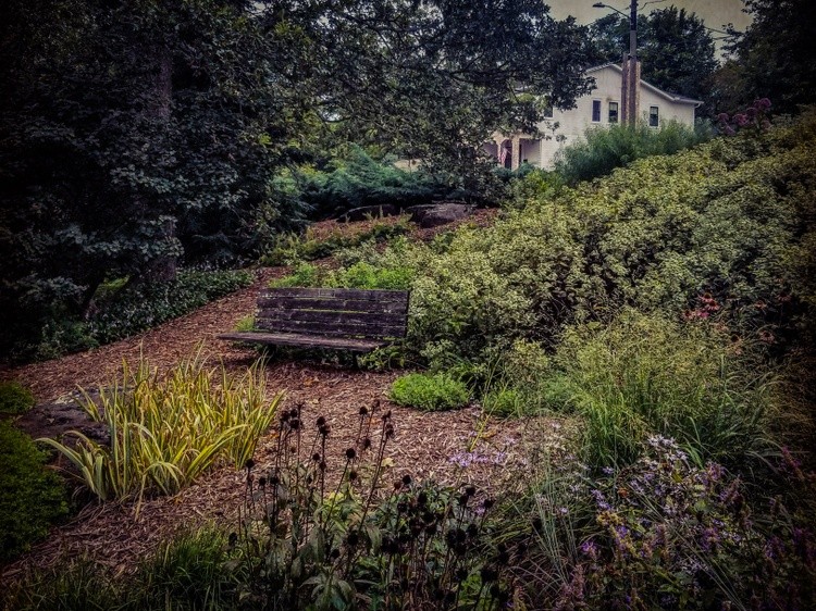 Misty Gardens2