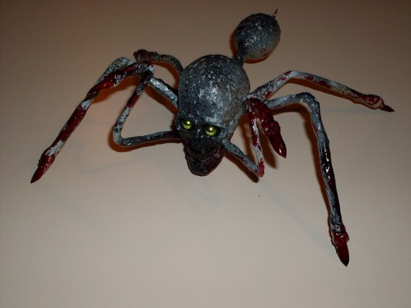 skull spider