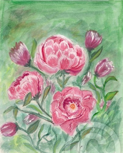 Pink Rose