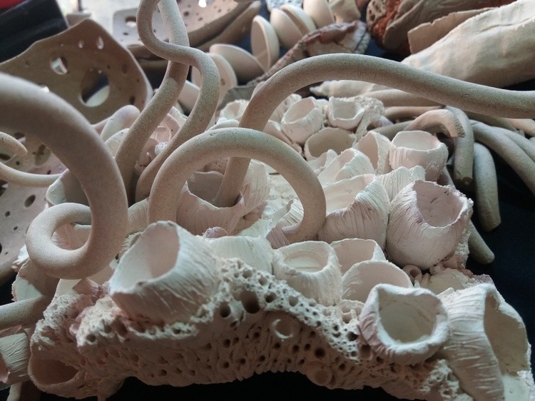 Ocean II