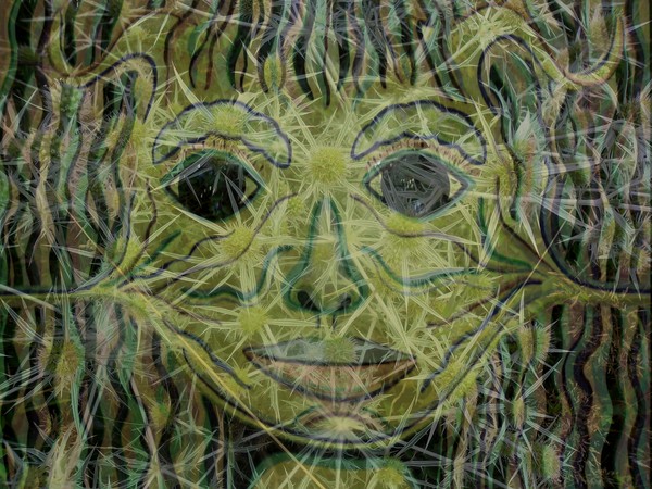 Art meets Nature 04