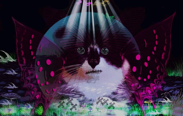 Butterfly Cat