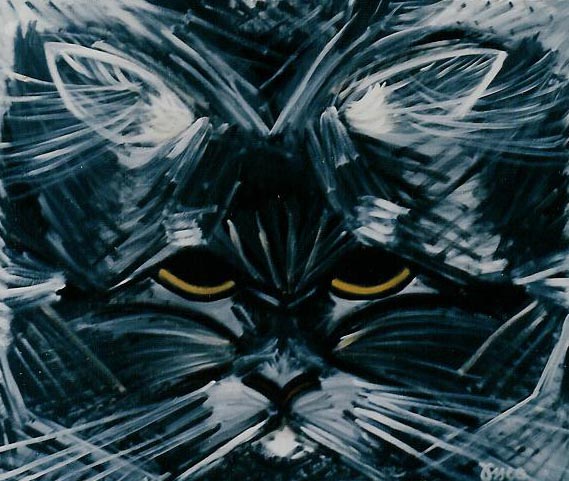 MY CAT
