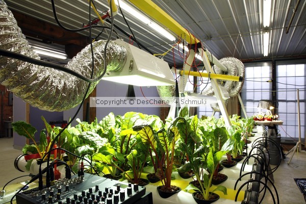 PlantBot Genetics: Hydroponics