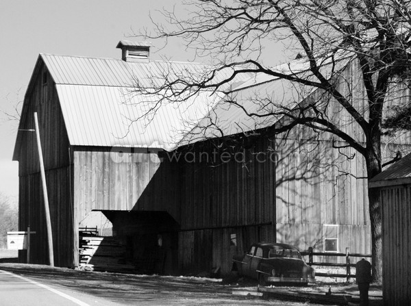 Along the Country Road