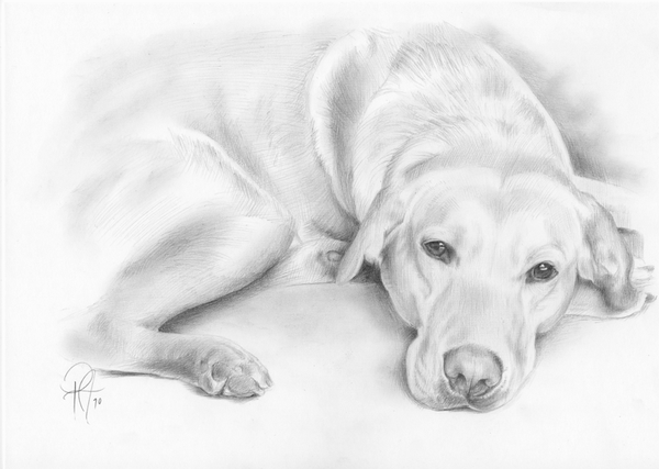 Charlie (Original Portrait Commission)