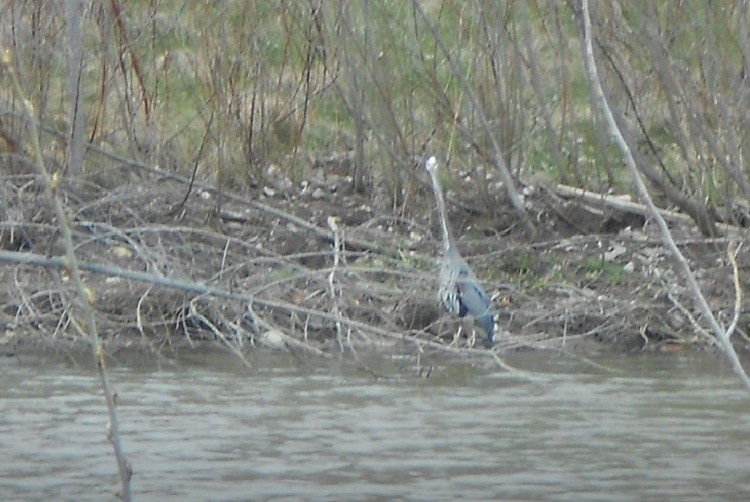 Beamsville Park 41