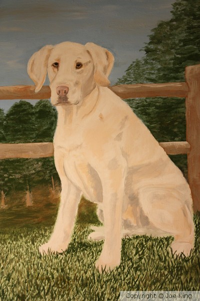 Lab in Waiting