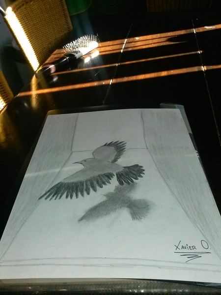 anamorphic drawing # 3