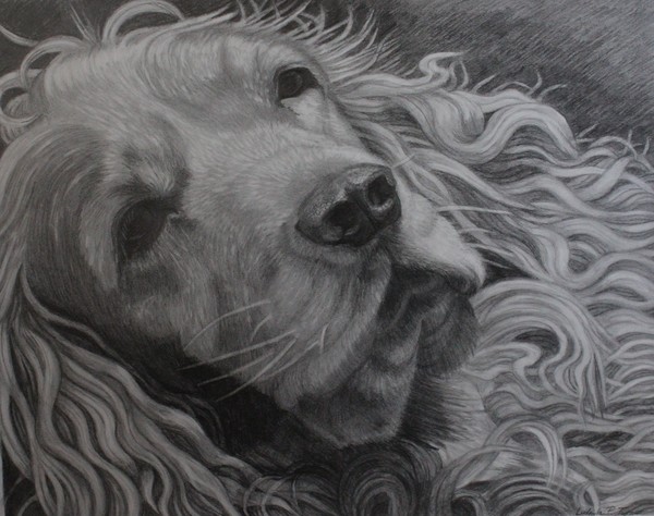 A dog
