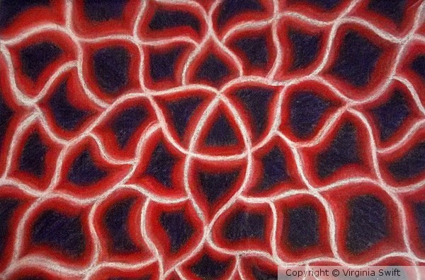 Web Of Life