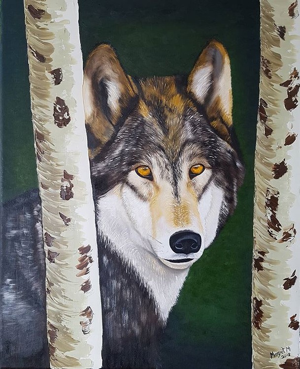 MR. Wolf 