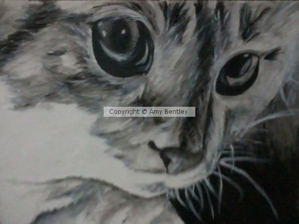 Kitty