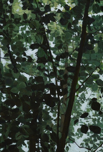 Woods detail 9