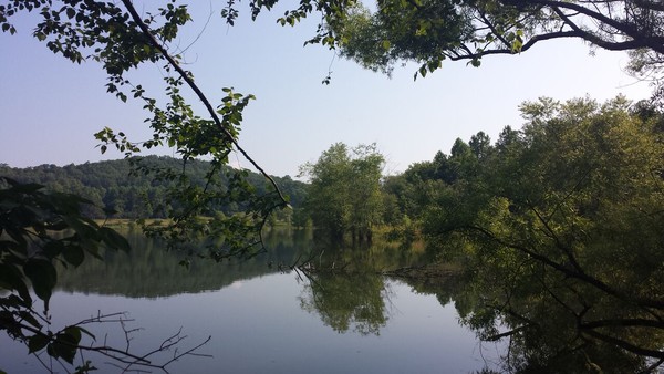 Peaceful Reflections
