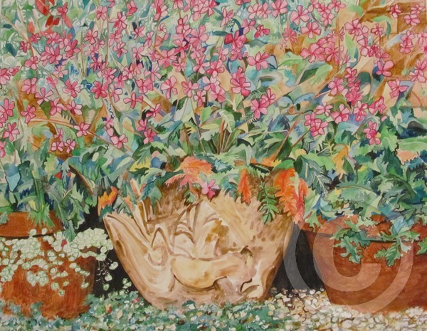 A Celebration in Pink, Aquarelle, 2011, 73 x 60 cm., 28.75 x 23.6 in