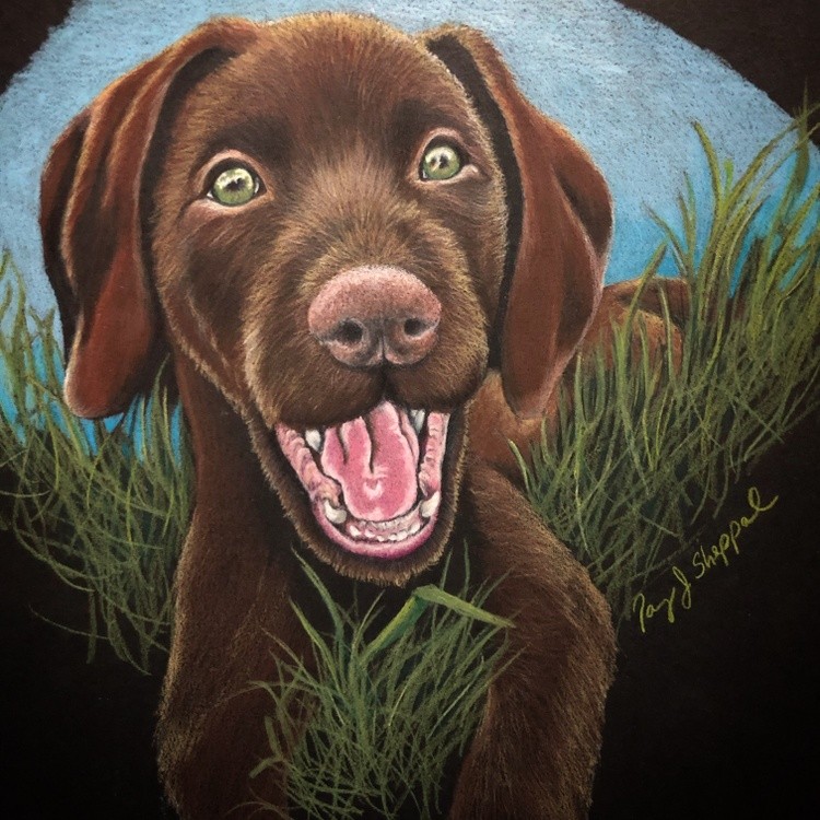 portrait portrait commission 