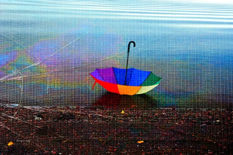 Umbrella on the Beach texture