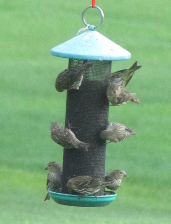 Room for 1 more
