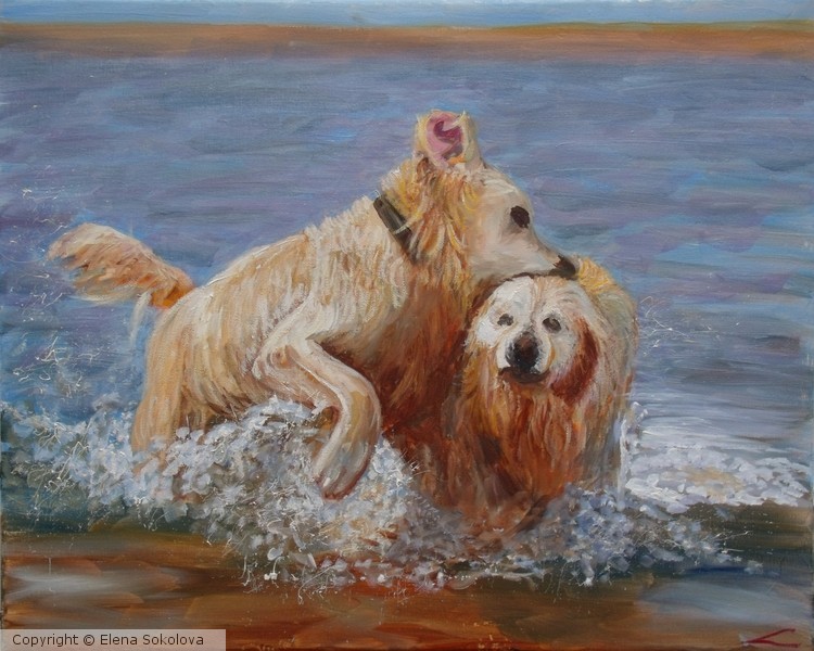Wet dogs 4