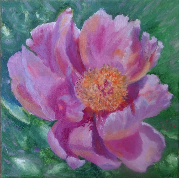 First peony