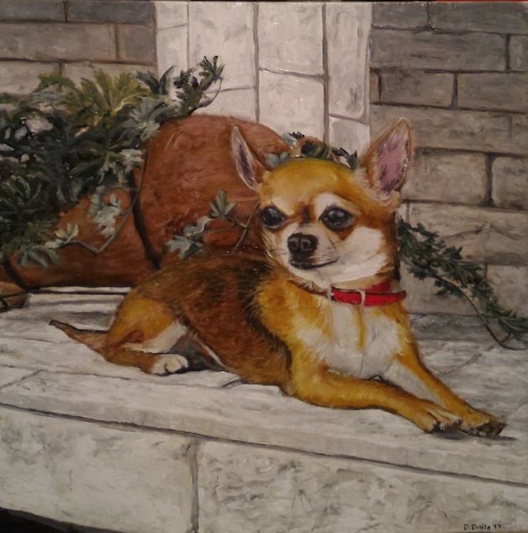 chicco
