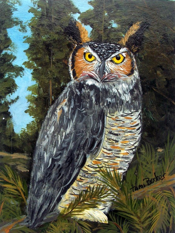 Owl