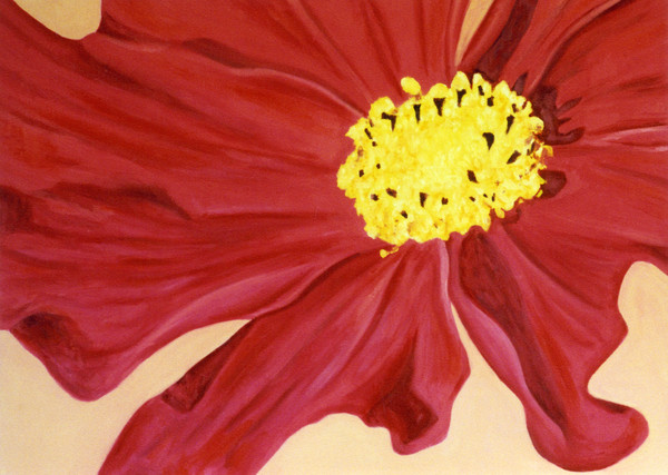  Calm Cosmos