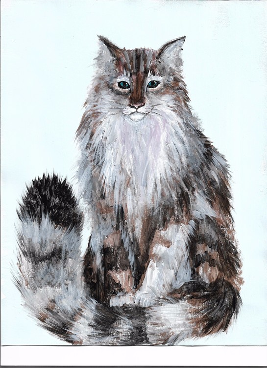 cat