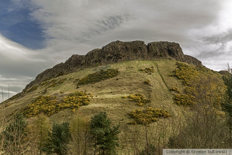 Nature of Edinburgh