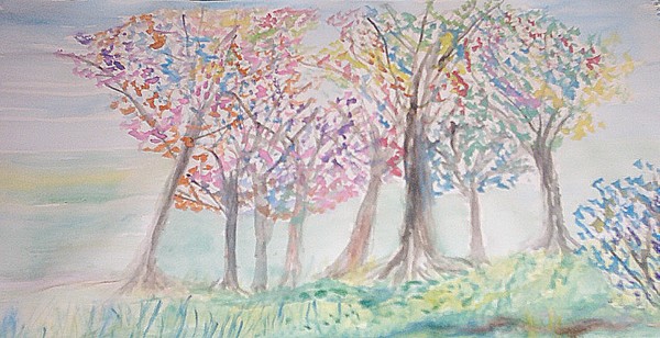 ritter 169 woodland