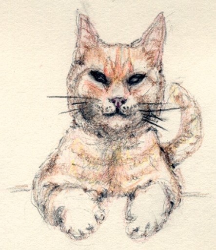 Millie Drawing