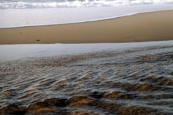 beach at Oregon