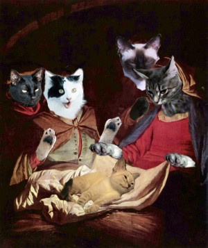 Cat Nativity