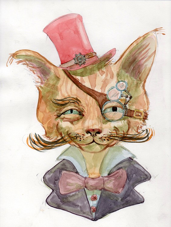 gatito 72