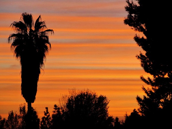 Sunset Lines 3