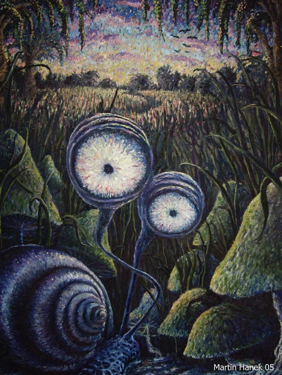 Snail 