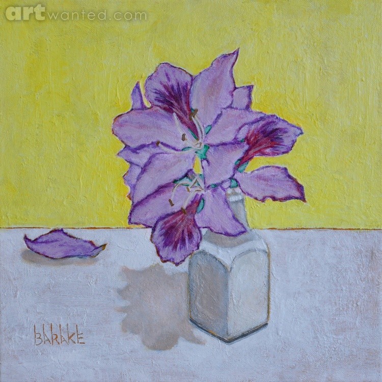 Brazilian Orchid Tree Flowers