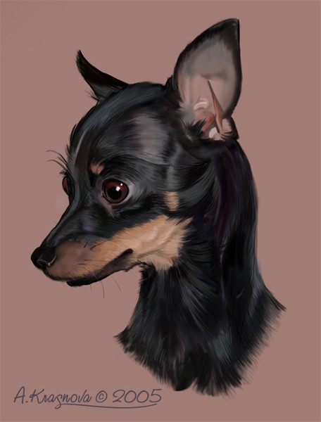 Animals of 2005. Little Dog.