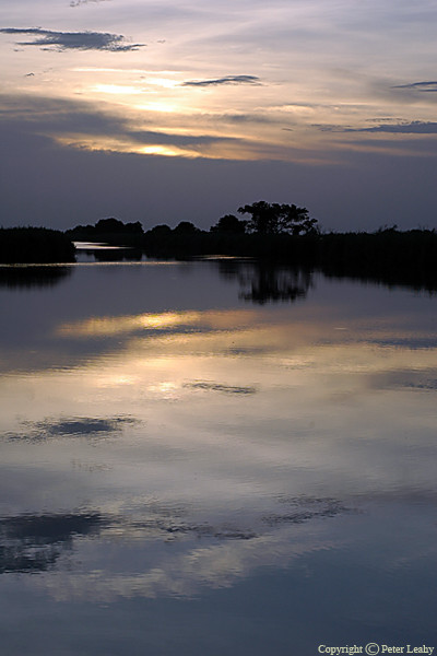 Earth Tone Sunset