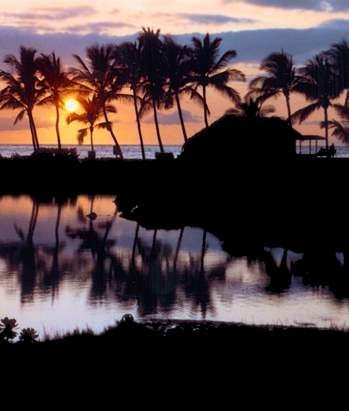 Hawaiian Sunset