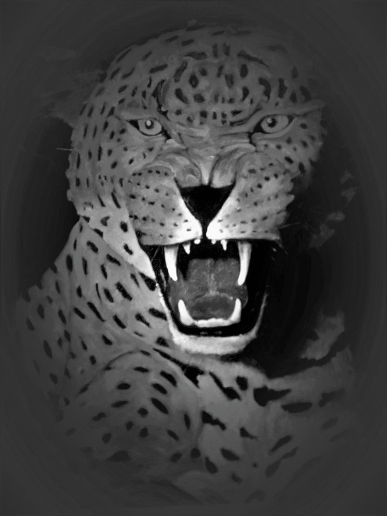 Airbrush Leopard on A1 smooth card