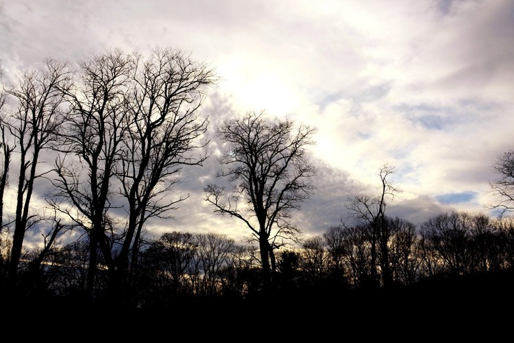 November 2011