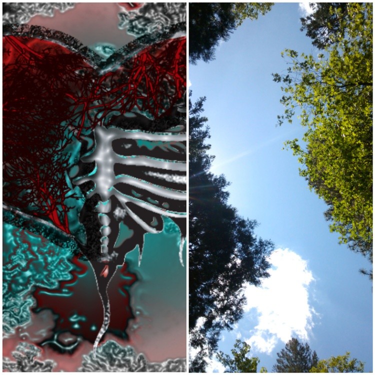 Perception