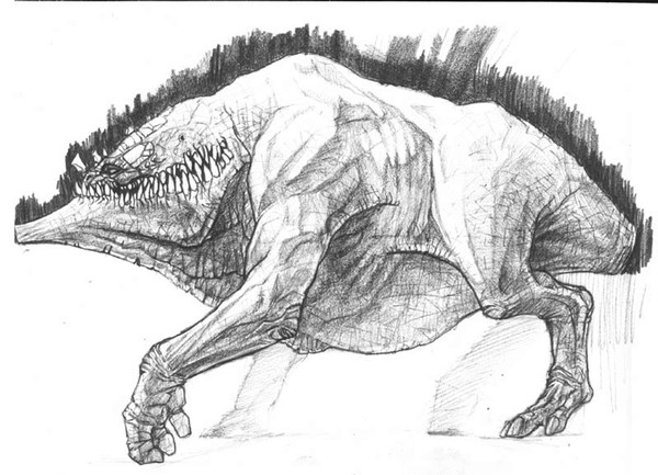 kane sketch
