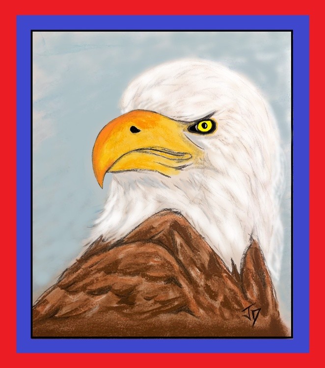 Freedom Watch 3D