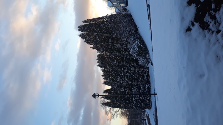 Winter 